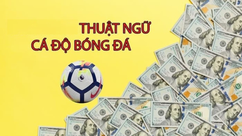 Các Thuật Ngữ Cá Cược & Cách Cá Độ Bóng Đá