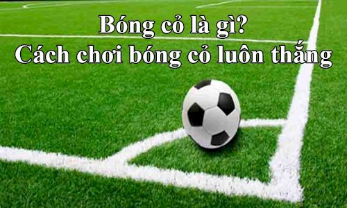 bong-co-la-gi