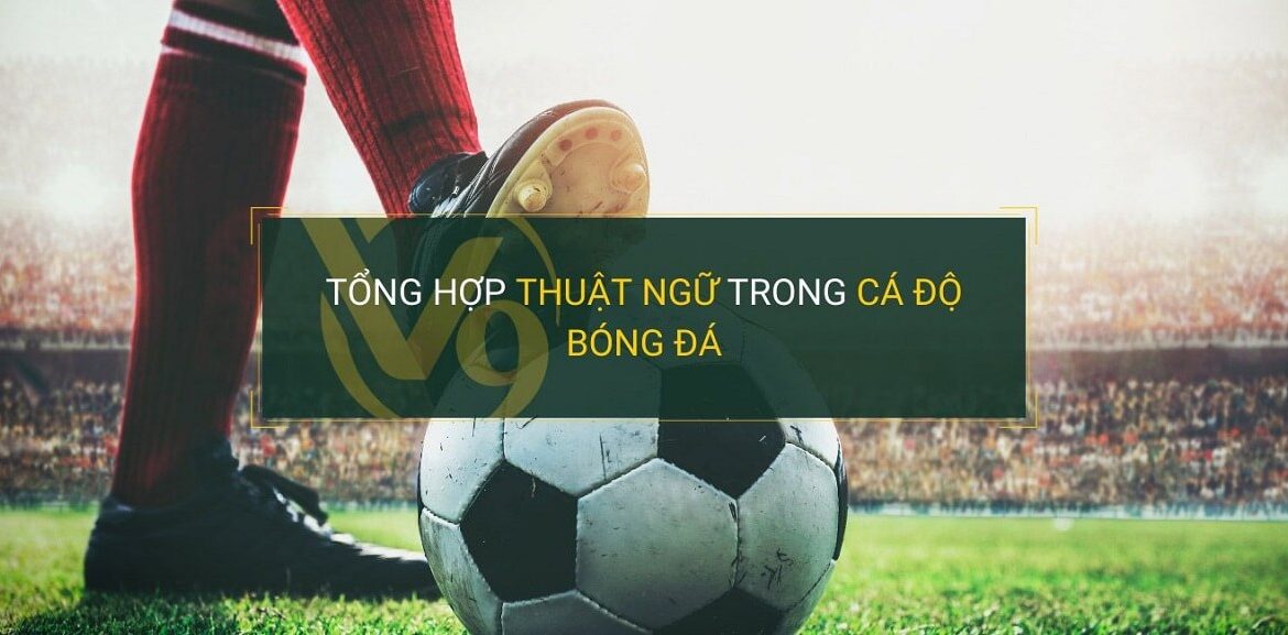 Các Thuật Ngữ Cá Độ Bóng Đá Cho Người Mới