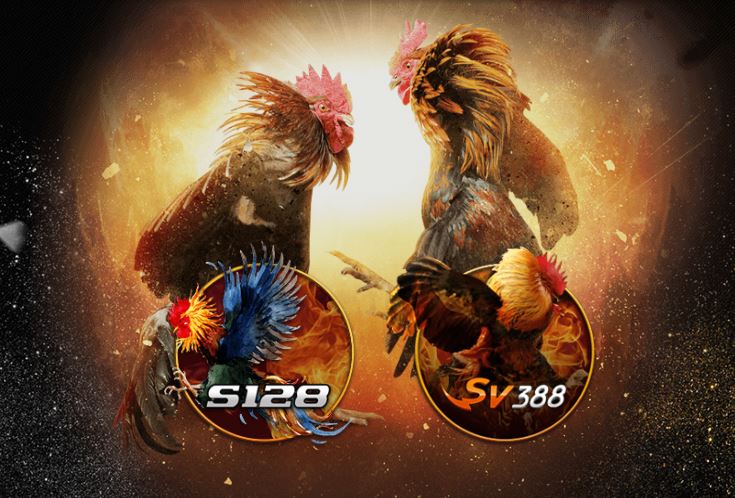 da-ga-truc-tuyen-an-tien-sv388-s128