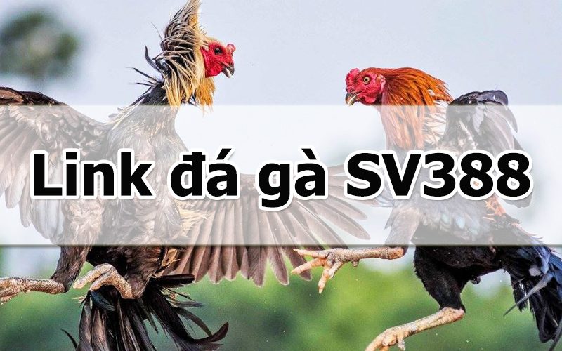link-da-ga-sv388
