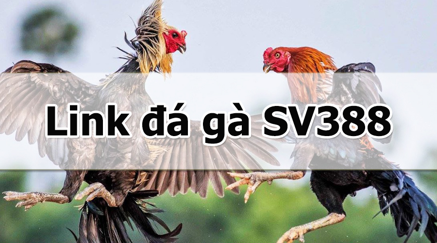Tổng hợp các mánh khóe đá gà SV388 bịp nhiều nhất hiện nay