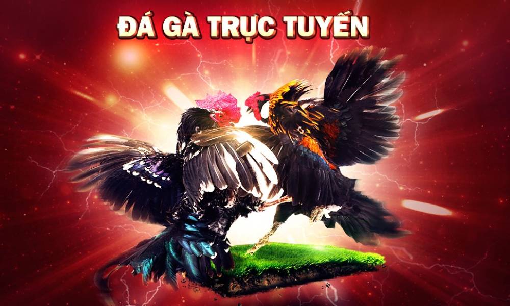 manh-khoe-da-ga-truc-tuyen-sv388