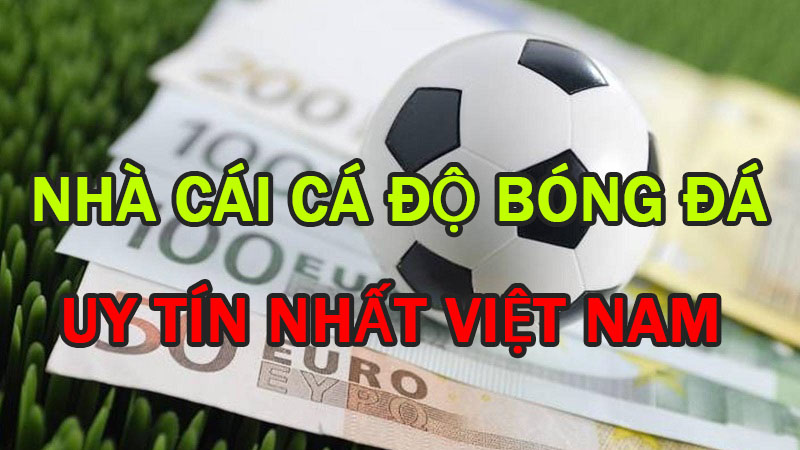 nha-cai-ca-do-bong-da