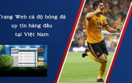 Top 10 trang cá độ bóng đá uy tín nhất Việt Nam hiện nay
