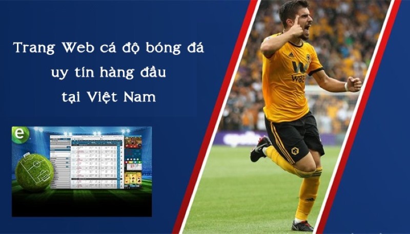trang-web-ca-do-bong-da