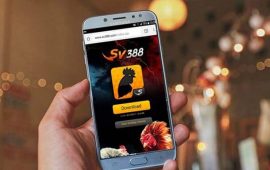 Tải App SV388 Cho Android và IOS