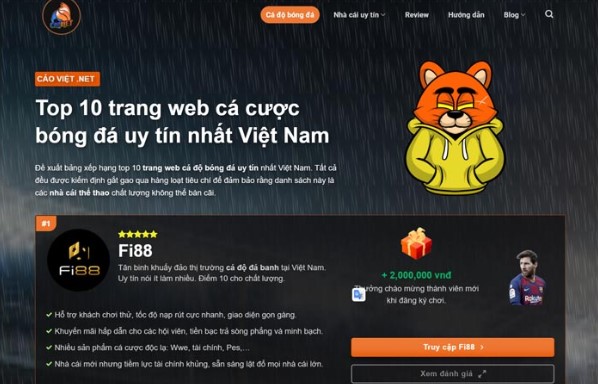 ceo-viet-net-com